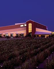 Winery Portfolio