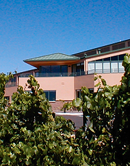 Edna Valley Winery