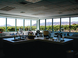 Edna Valley Winery 01
